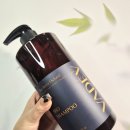 샴퓨 | 건성 비듬 샴퓨 찾는다면, 향 좋은 바디브 미오 샴퓨 추천💙