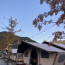 동이애견 이미지