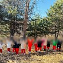 원종초등학교+예능영재유치원 이미지