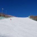 태백축산물백화점 이미지