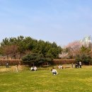 호수공원_원포광장 이미지