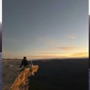 에코제니 이미지