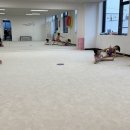 샤인플로라 이미지