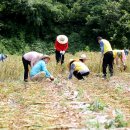 서산시청 이미지