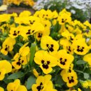 당신의 영혼을 매혹하는 글쓰기 특강 | 매혹적인 글쓰기 수업 1