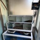 짬뽕전문점요세(하남본점) | 미사 전자담배 레몬덕후와 함께 시원 달콤한 신상 액상 직접 시연해 본 후기