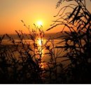 초현펜션 이미지