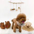 몽보드레 이미지