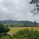 인천장가든 이미지