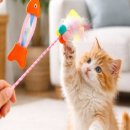 고양이 - 태백시 황지로 137 | 고양이