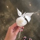 엔퓨 Daum카페