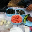소나무갈비