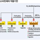 알레르기비염 치료, 2세대 항히스타민제 씨잘정 5mg, 씨잘액 0.5mg/mL 이미지