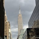 베델농장 이미지