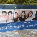 장산억새밭 이미지