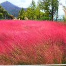 논공(대구) 이미지