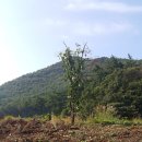 사랑감(용사만회)마을 이미지