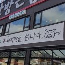 마시가이따