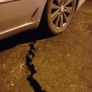 외나무약국 이미지