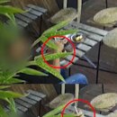 9모텔 이미지