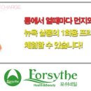 포쉬네일세이브존광명점 이미지
