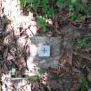 은행1리 이미지