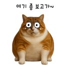 오슬레 이미지