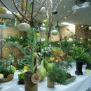 여주자영농업고등학교 이미지