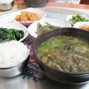 거창식당 민박 Daum카페