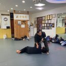 대한격기도협회총본관