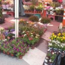 일동5일장 이미지