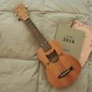 딩가딩가 우쿨렐레 이미지