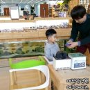 아쿠아이즈 안경원 이미지