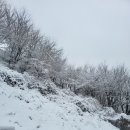 상현 행정사 사무소 이미지