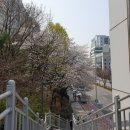 1박 2일 서울일기