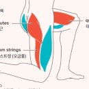 더 플레이 짐 농성점 이미지