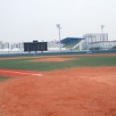 탄천야구장 이미지