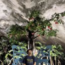 은혜상회 이미지