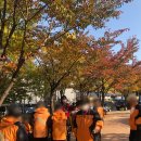 원골어린이공원 네이버블로그