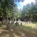 월정사 부도군 이미지