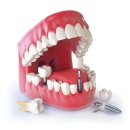 열정치과의원 이미지