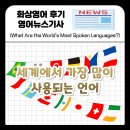 stay_at_da | 세계에서 가장 많이 사용되는 언어들은 무엇일까? World's Most Spoken Language