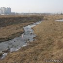 정수장교 이미지