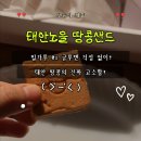 건강생활태안지점 | 국내산 쌀 100% 태안노을 땅콩샌드 &amp; 땅콩쿠키 솔직 후기! 건강한간식으로 딱!