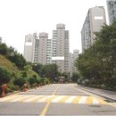 황골쌍용 이미지