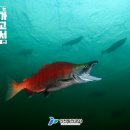 해룡 - 1301 | 해룡