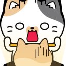고스튜 이미지