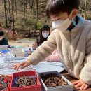 진밭골야영장 이미지