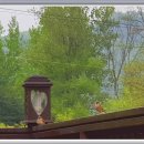 참새민박 이미지