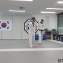 새솔태권도 이미지